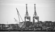 Qshipping國際海運拼箱，全球物流無憂解決方案！