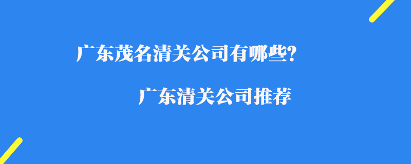 廣東茂名清關公司有哪些？廣東清關公司推薦