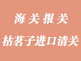 枯茗子進口清關報檢清關流程