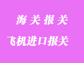怎么辦飛機進口報關手續？