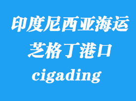 印度尼西亞海運港口：芝格?。╟igading）港口