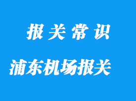 上海浦東機(jī)場報(bào)關(guān)公司哪家好_機(jī)場報(bào)關(guān)行