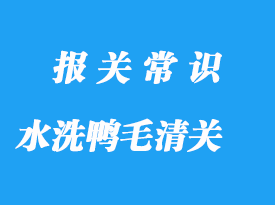 水洗鴨毛進口清關手續流程與注意事項
